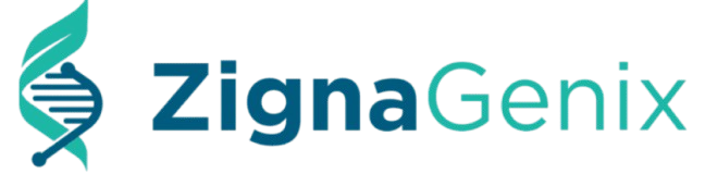 zignagenix_logo_1__1_-removebg-preview